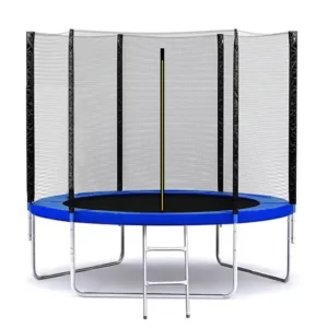Батут SkyJump 10 фт., 312 см.з захисною сіткою + драбинка